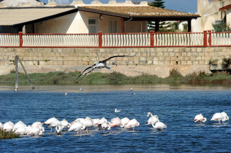 27.2.2011 MARZAMEMI E PRANZO SOCIALE (79).jpg